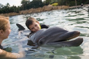discovery Dolphin with Boy alta (1)