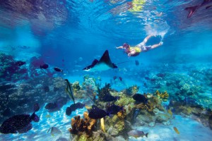 discovery TropicalReefDeepAlta (1)